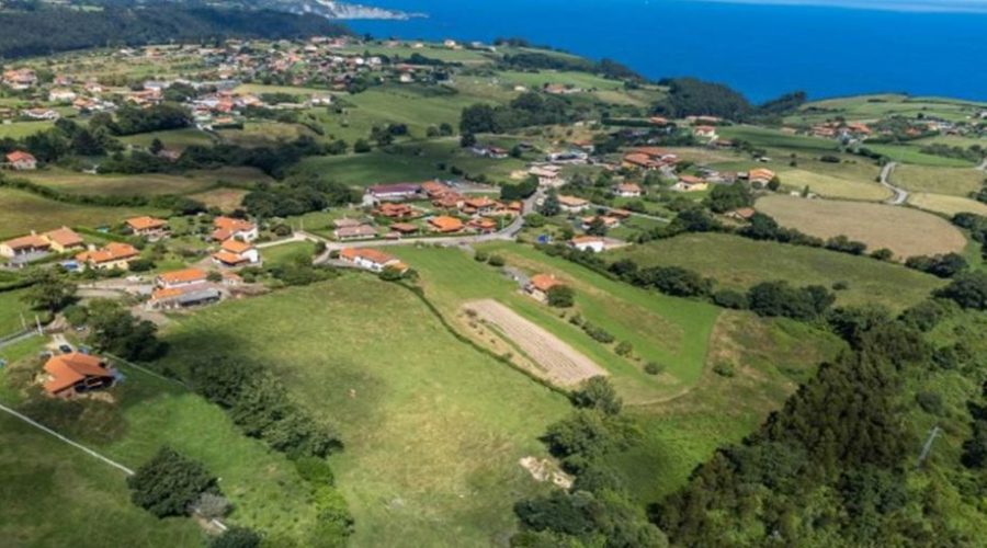 112026 01 19 ayudas cadasa