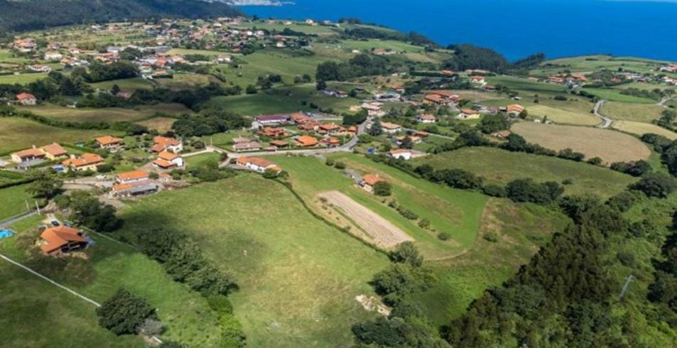 112026 01 19 ayudas cadasa