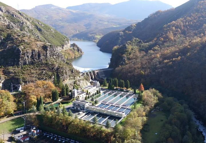 11dcim100mediadji 0260.jpg