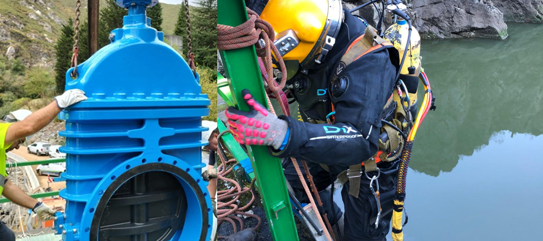 11renovacion rioseco