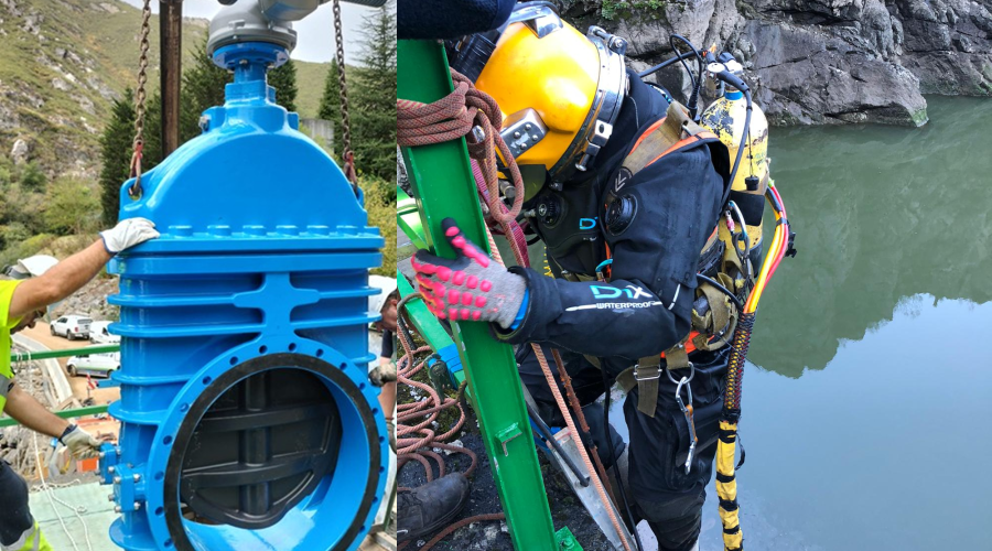 11renovacion rioseco